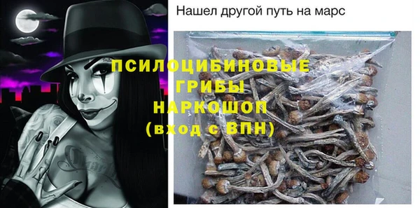 прущая мука Гусиноозёрск