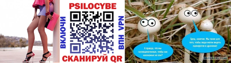darknet Telegram  Ирбит  Псилоцибиновые грибы Cubensis  гидра маркетплейс 