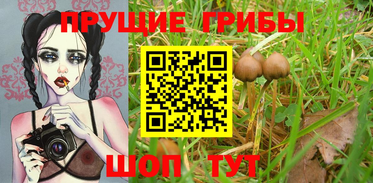 Ирбит  Галлюциногенные грибы GOLDEN TEACHER  Вход с VPN 